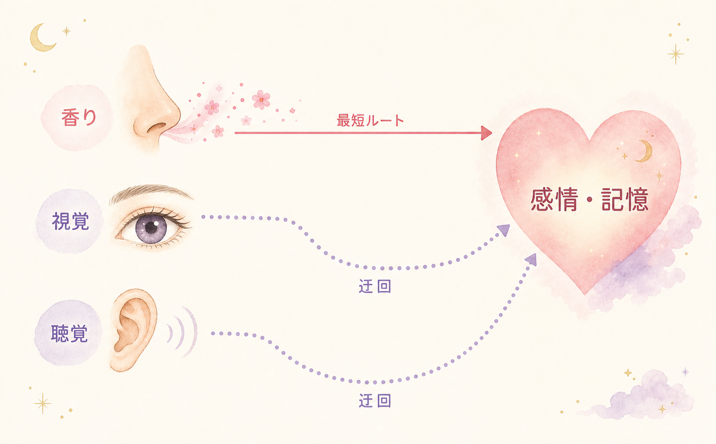 香りが感情に直結する仕組みを図解