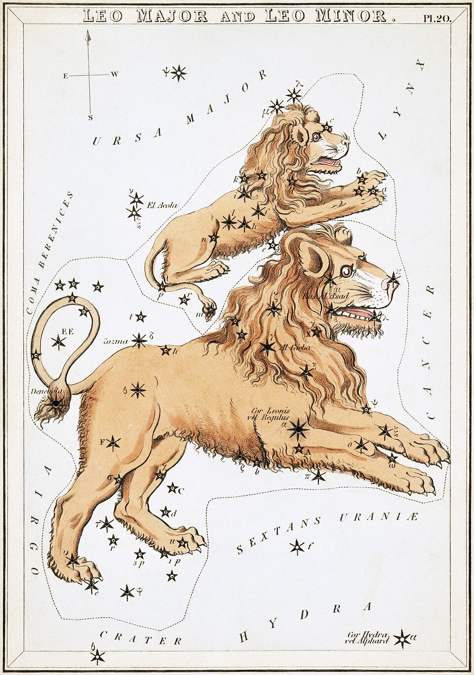 獅子座の星座絵