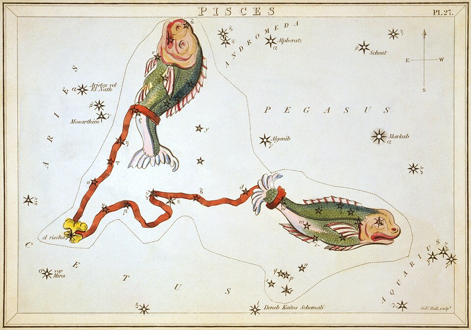 魚座の星座絵